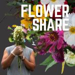 Summer Flower Share